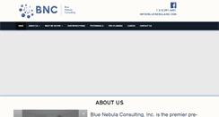 Desktop Screenshot of bluenebulainc.com